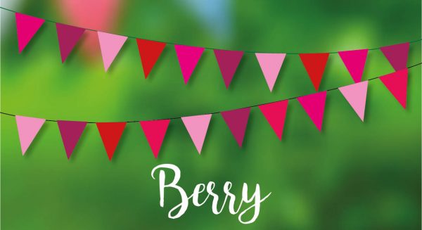 Summer Berry Bunting